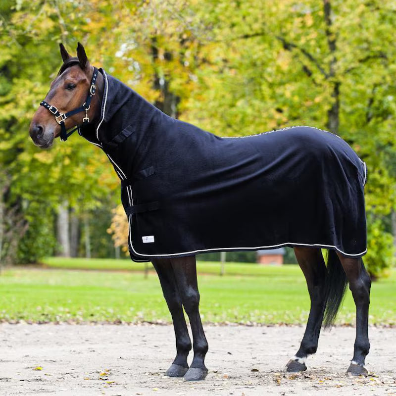 Hochhalskühlbox