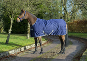 Bucas Freedon stable